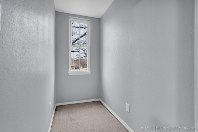 spare room featuring carpet flooring and a wealth of natural light