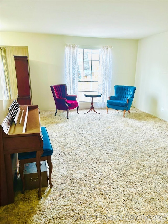 living area featuring carpet