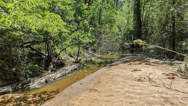 view of nature