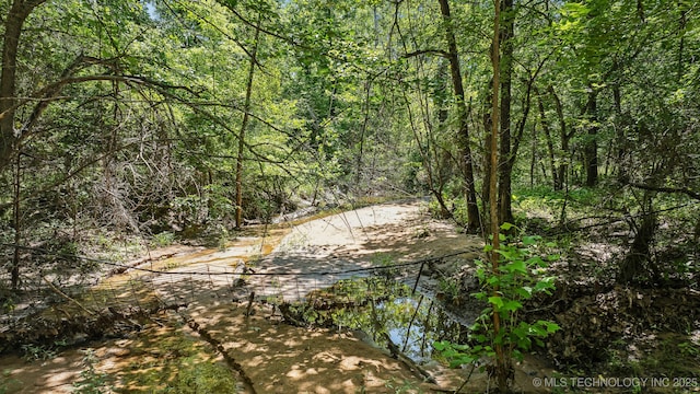 42900 W 11th St, Terlton, OK 74081 - view of tree filled area