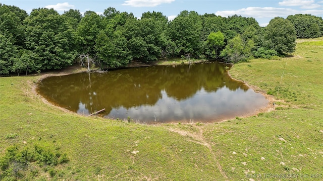 view of water feature