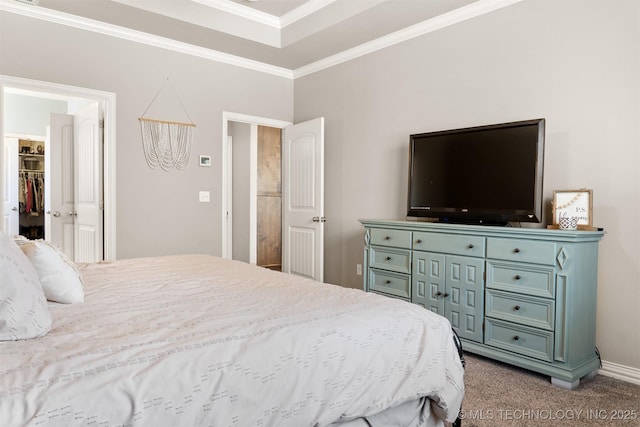 carpeted bedroom with a raised ceiling, crown molding, a spacious closet, and baseboards