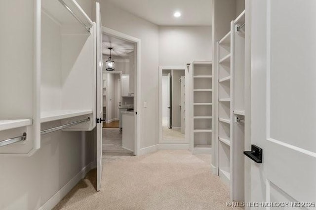 11904 S Toledo Ave, Tulsa, OK 74137 - spacious closet with light carpet