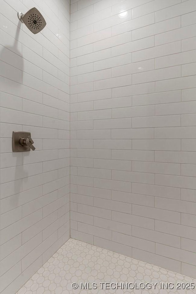 11904 S Toledo Ave, Tulsa, OK 74137 - bathroom with tiled shower