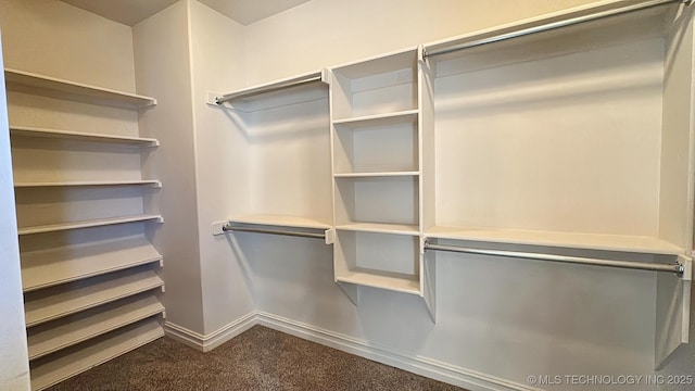 spacious closet with dark colored carpet