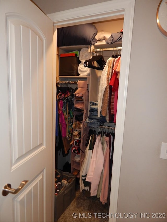 view of closet