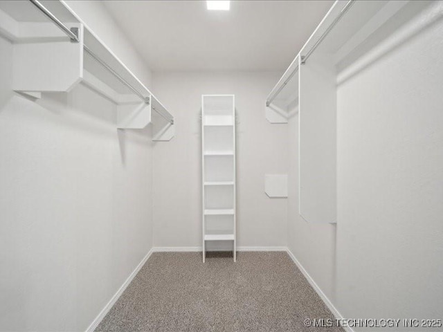 spacious closet with carpet flooring