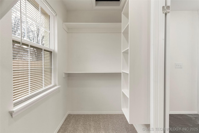 spacious closet with carpet floors