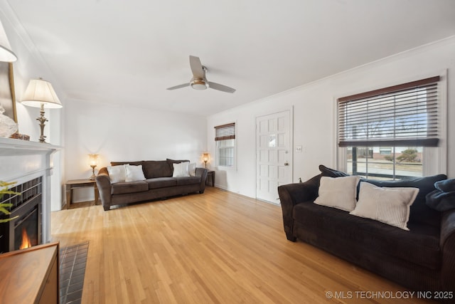 living room with light wood-style floors, crown molding, a fireplace, and a ceiling fan