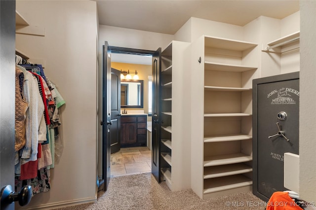 spacious closet featuring light carpet