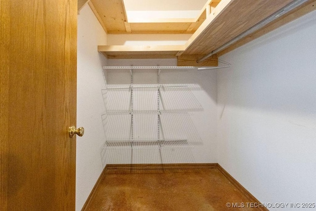view of spacious closet