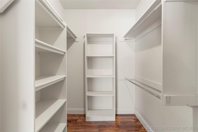 spacious closet featuring dark wood finished floors