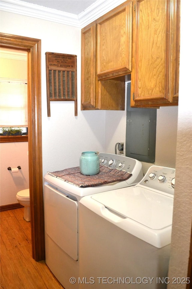 laundry area with light wood-style floors, independent washer and dryer, cabinet space, and crown molding