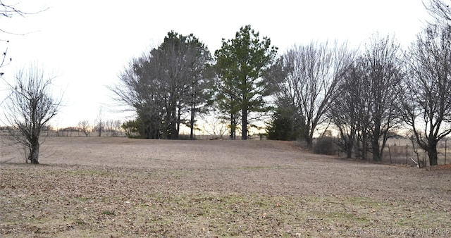 view of yard with a rural view