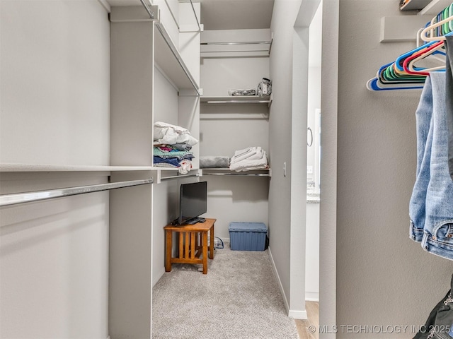 spacious closet with light carpet