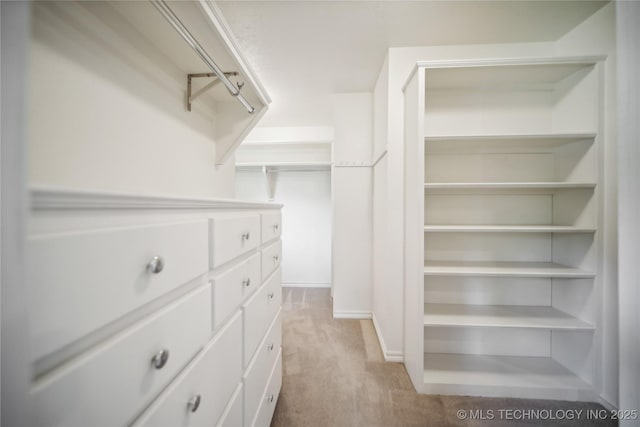 walk in closet with light colored carpet