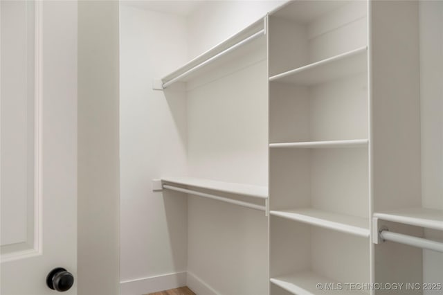 view of spacious closet