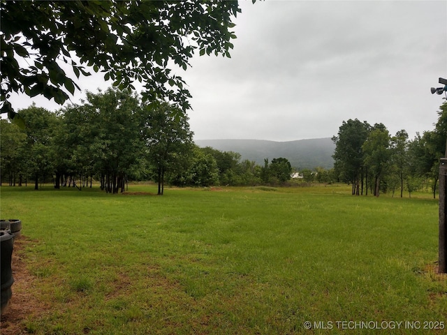 view of yard with a mountain view