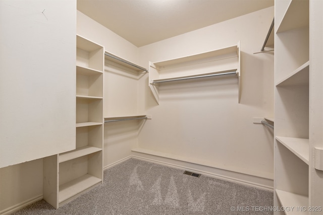 spacious closet with carpet and visible vents