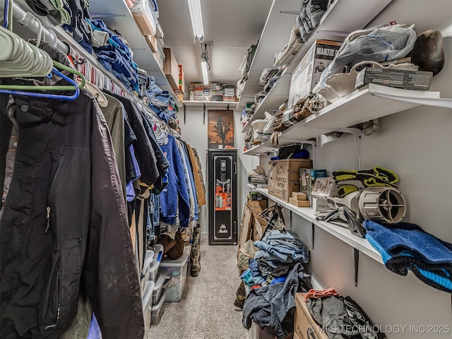 walk in closet with carpet flooring