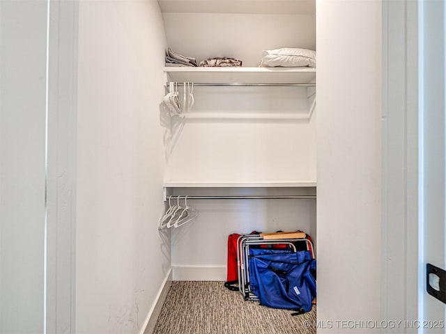 view of closet