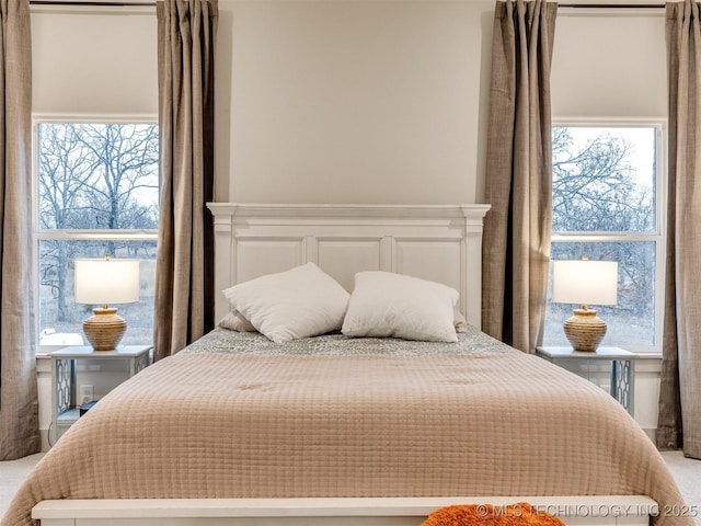 bedroom featuring carpet flooring