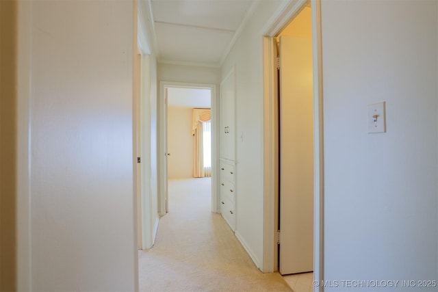 hall featuring light carpet and ornamental molding