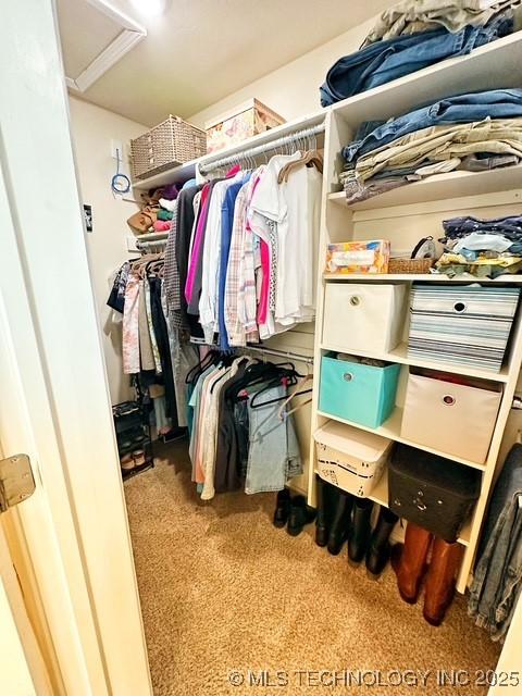 spacious closet featuring attic access and light colored carpet