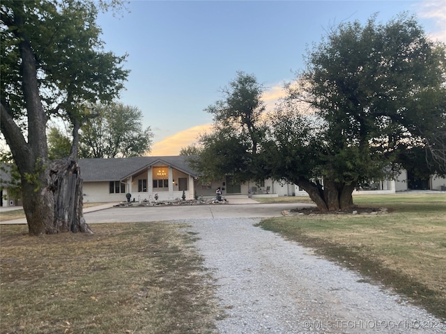 view of front of house featuring gravel driveway and a front yard