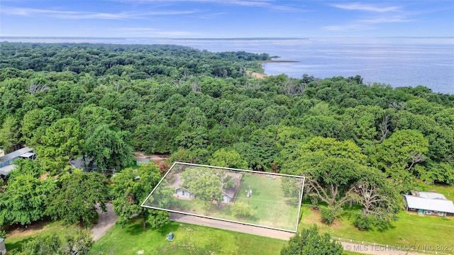 bird's eye view featuring a water view and a forest view