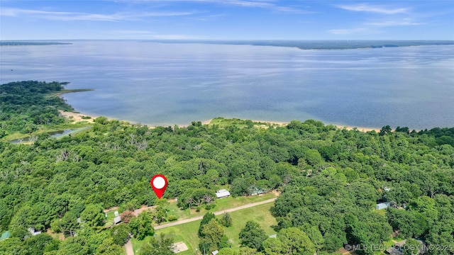 drone / aerial view featuring a water view and a forest view