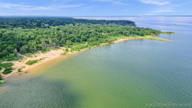 drone / aerial view featuring a water view and a view of trees