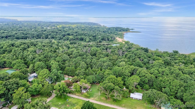 birds eye view of property featuring a water view and a wooded view