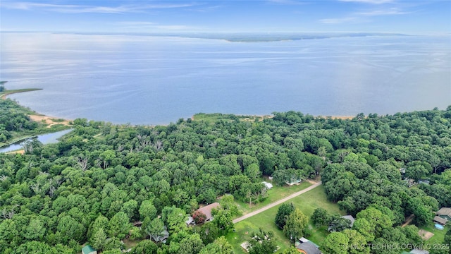 bird's eye view featuring a water view and a wooded view