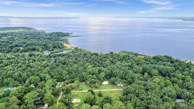 drone / aerial view featuring a water view and a wooded view