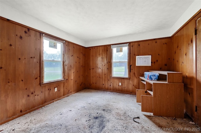 interior space with wood walls, a wealth of natural light, and light colored carpet