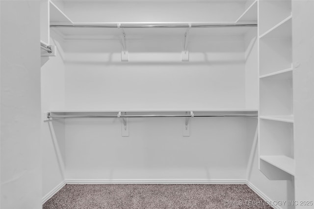 spacious closet with carpet floors