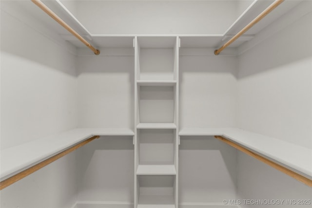 view of walk in closet