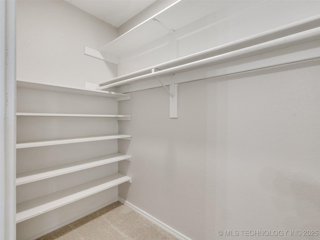 spacious closet featuring carpet floors