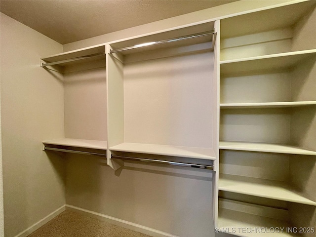 view of spacious closet