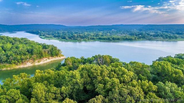 birds eye view of property with a water view and a wooded view