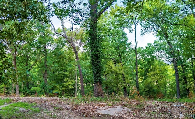 view of local wilderness with a wooded view