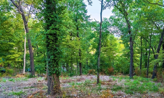 view of nature with a wooded view