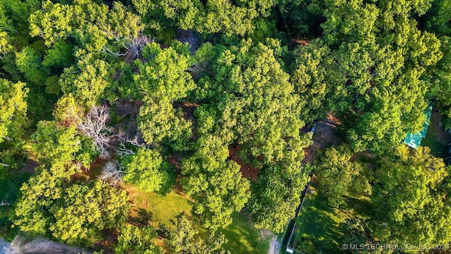 birds eye view of property with a forest view