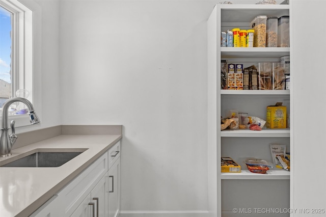 pantry with a sink