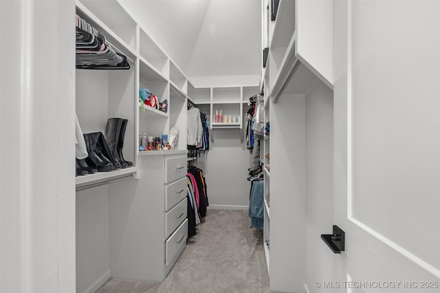 spacious closet with light carpet