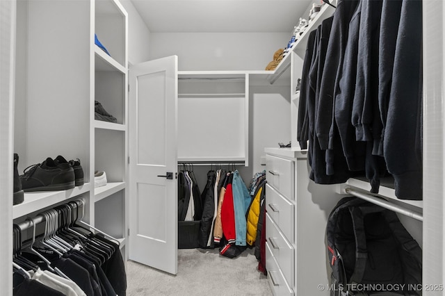 walk in closet featuring light carpet