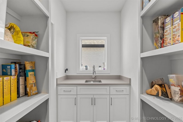 pantry featuring a sink