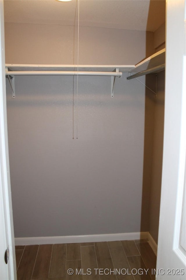 spacious closet featuring wood tiled floor