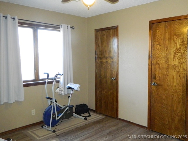 exercise room with ceiling fan and wood finished floors
